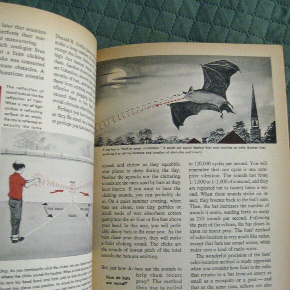 How And Why Wonder Book Of Sound 1962 - Picture 9 of 10